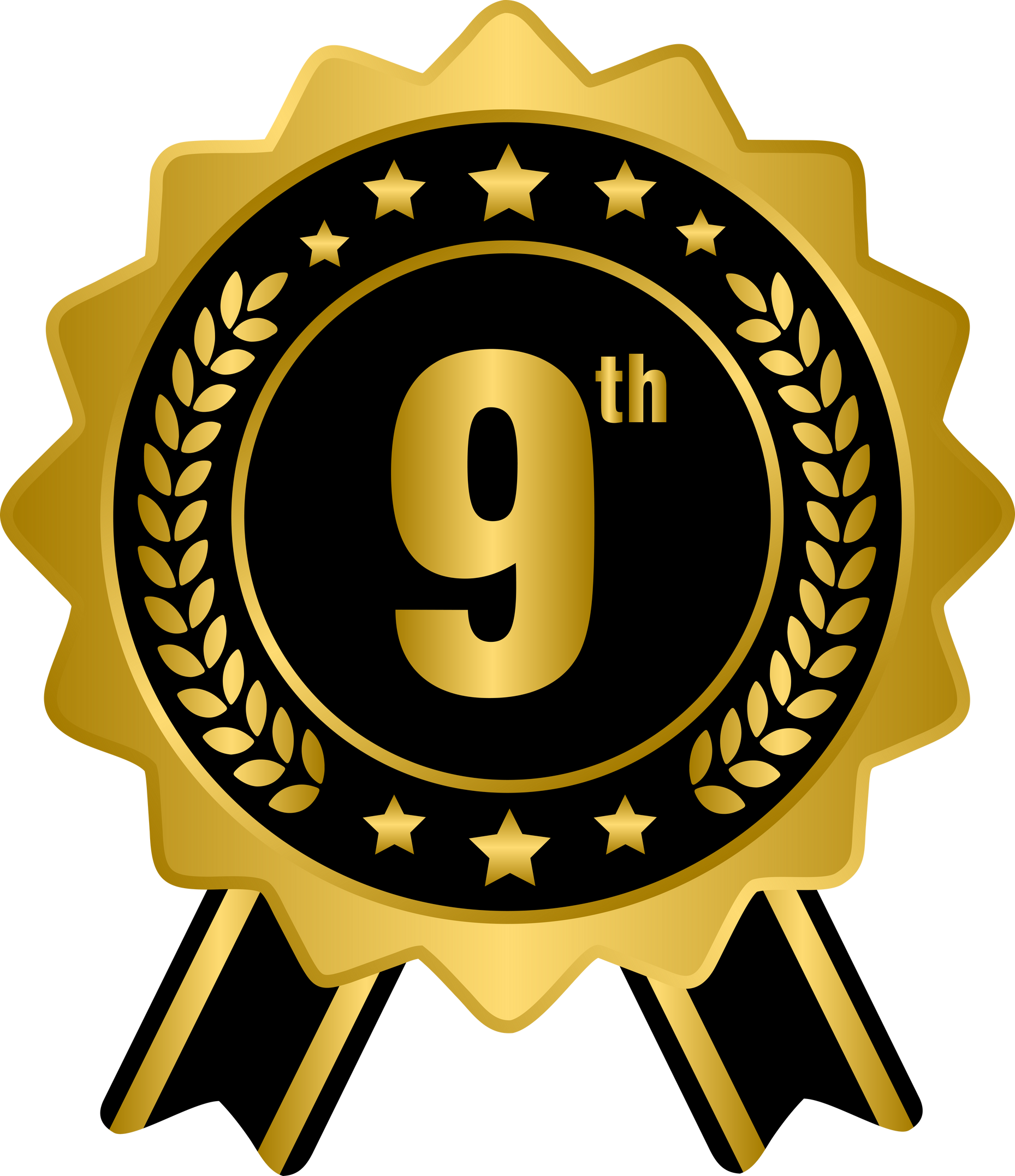 9th golden award medal