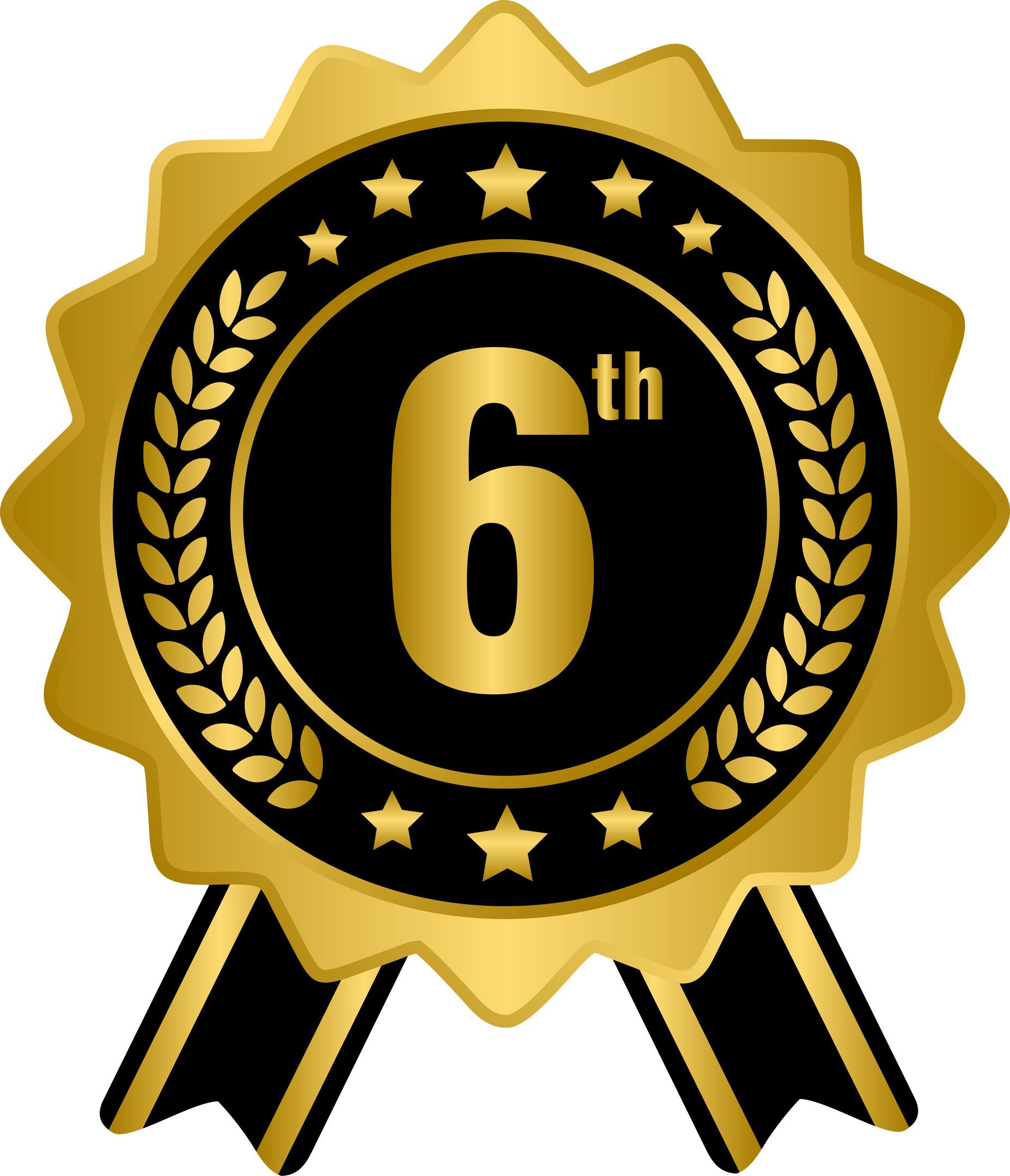 6th golden award medal